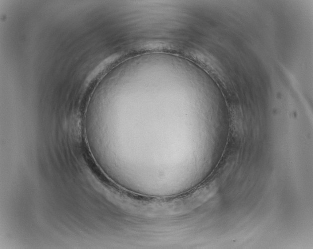 X0000076230016200609281124