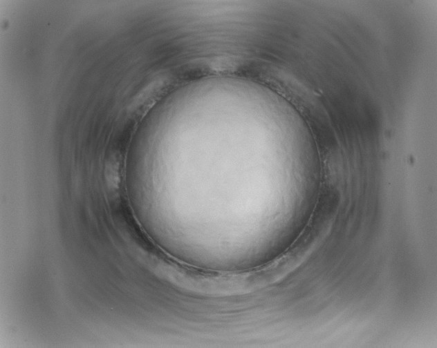X0000076230032200609281123