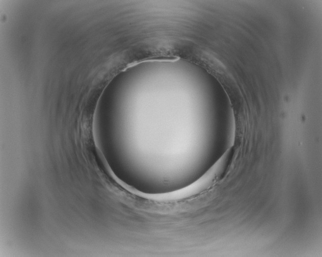X0000076230037200609281123