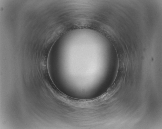 X0000076230040200609281123