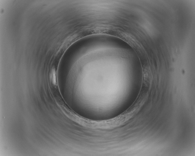 X0000076230046200609281123
