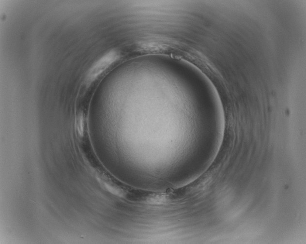 X0000076230076200609281123