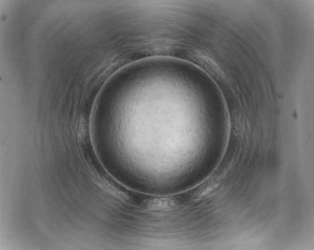 X0000076230077200609281123