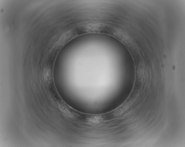 X0000076230079200609281123