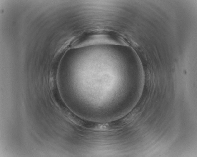 X0000076230080200609281123