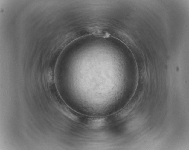 X0000076230081200609281123