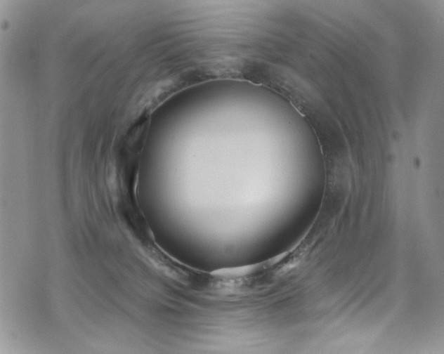 X0000076230084200609281123