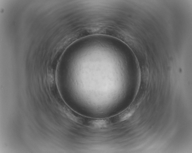 X0000076230085200609281123