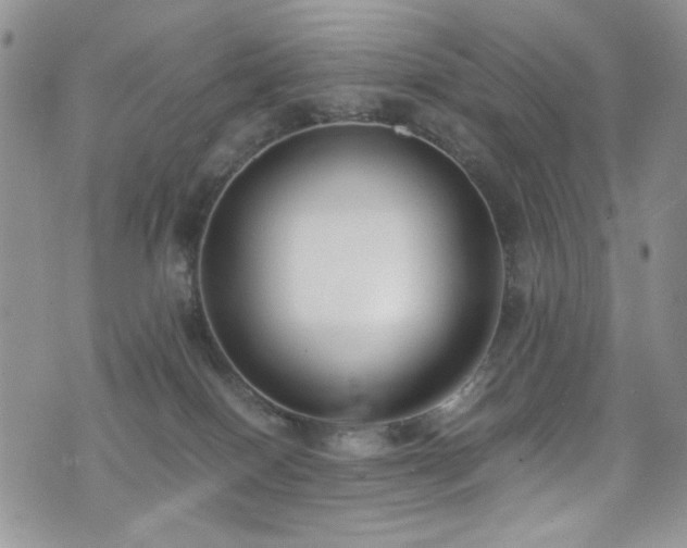 X0000076230086200609281123