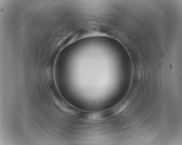 X0000076230088200609281123