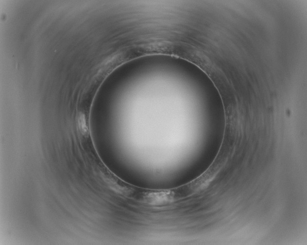 X0000076230089200609281123