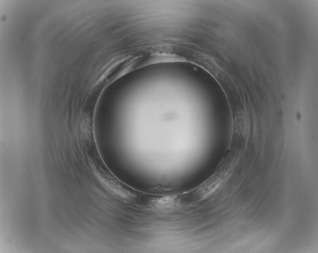 X0000076230092200609281123