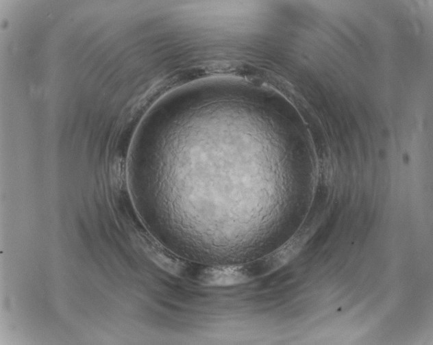 X0000076230093200609281123