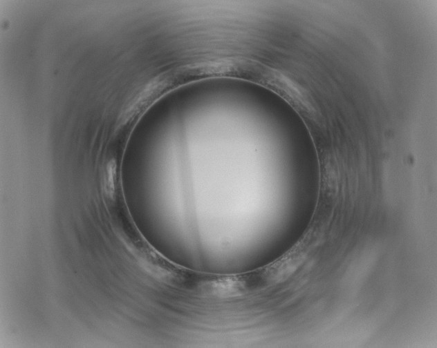 X0000076230118200609281122