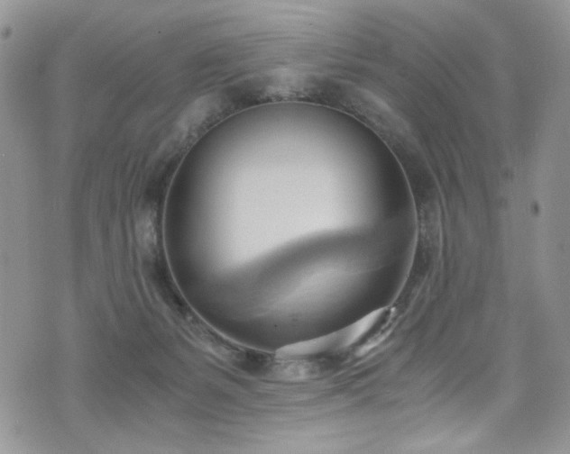 X0000076230127200609281122