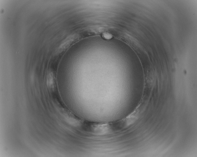X0000076230132200609281122