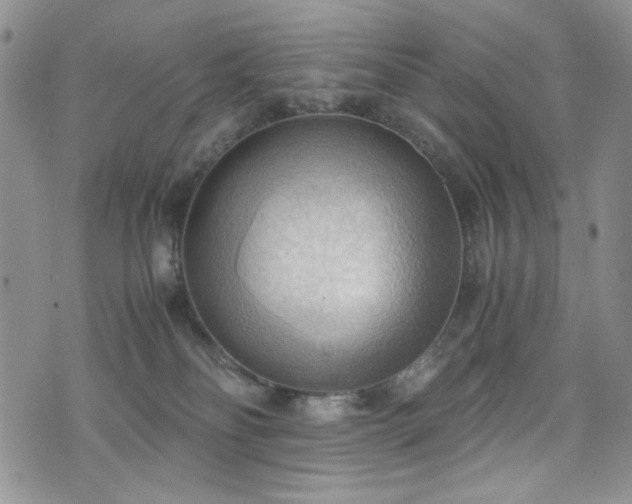 X0000076230134200609281122