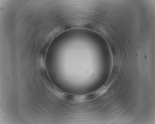 X0000076230143200609281122