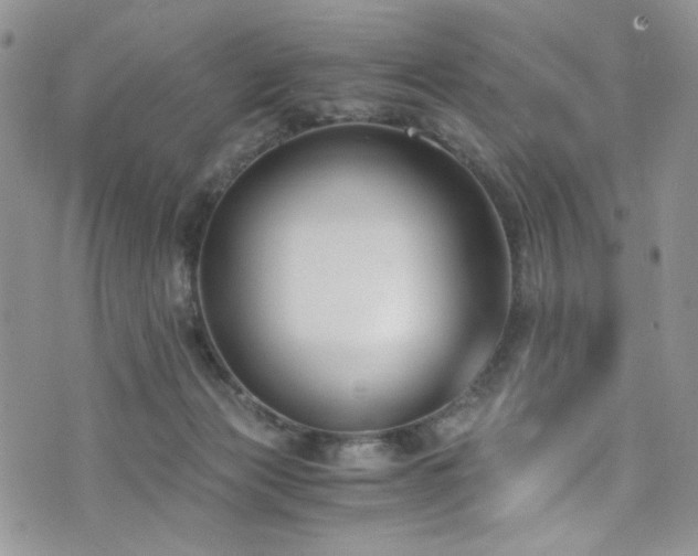 X0000076230173200609281121