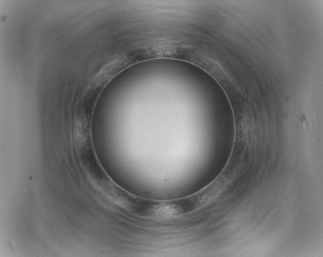 X0000076230218200609281120