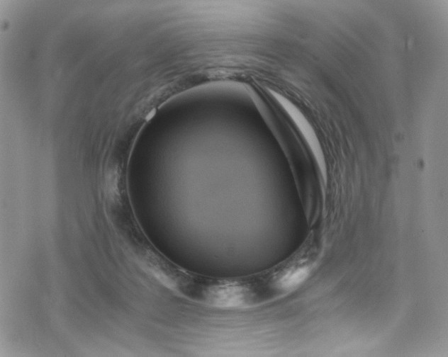 X0000076230219200609281120