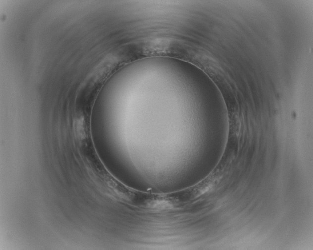 X0000076230224200609281120