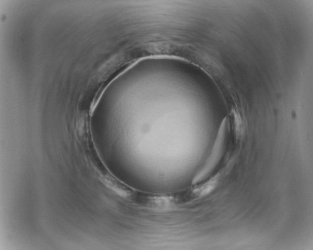 X0000076230233200609281120