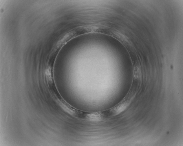 X0000076230238200609281120