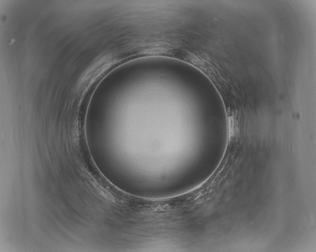 X0000076230243200609281119