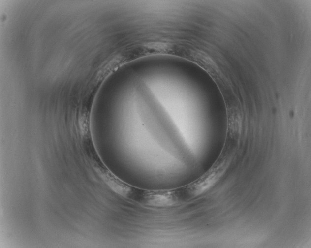 X0000076230285200609281120