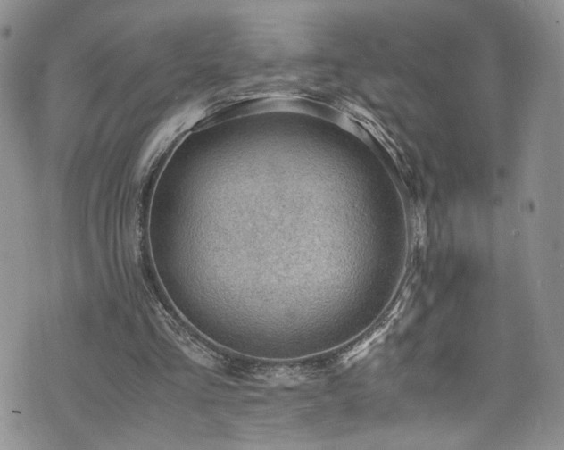 X0000076230293200609281119