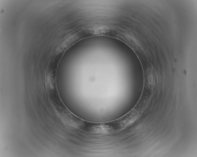 X0000076230316200609281119