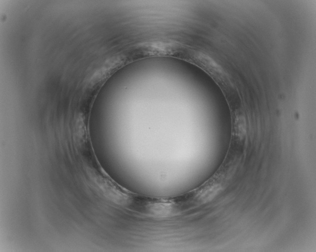 X0000076230318200609281119
