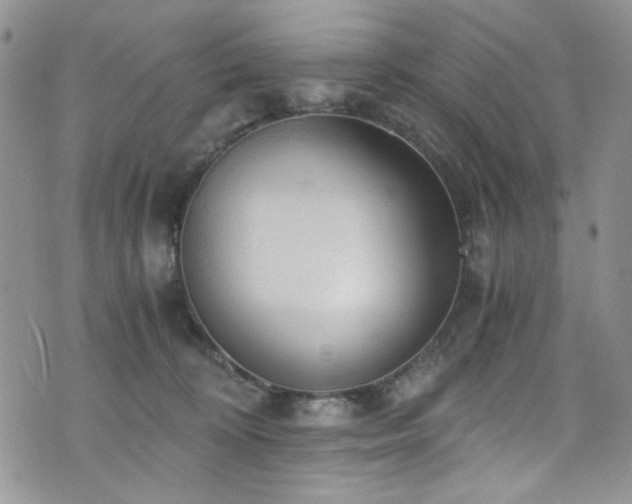 X0000076230324200609281119
