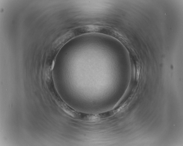 X0000076230325200609281119