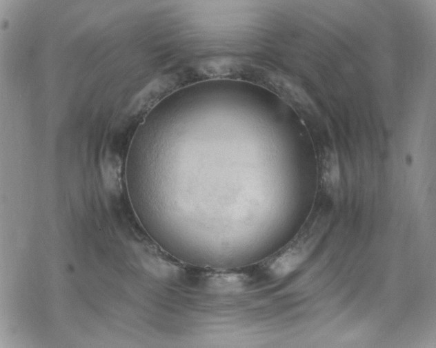 X0000076230332200609281118