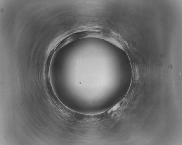 X0000076230340200609281118