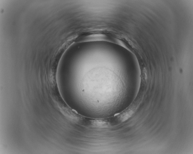 X0000076230380200609281118