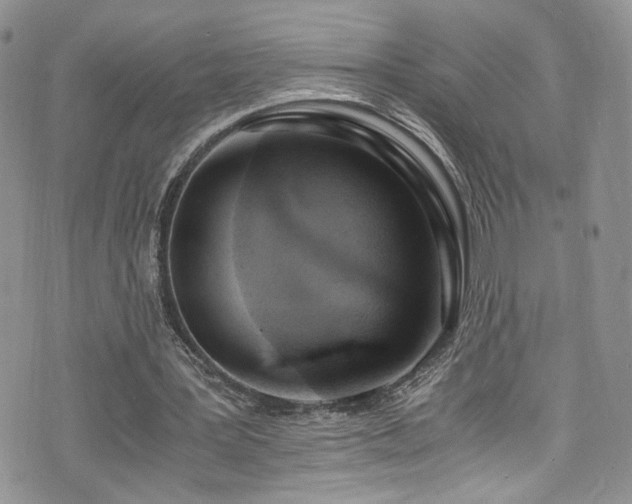 X0000076230387200609281118