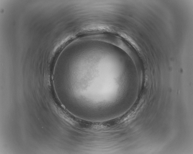 X0000076230399200609281117