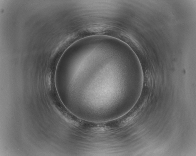 X0000076230404200609281117