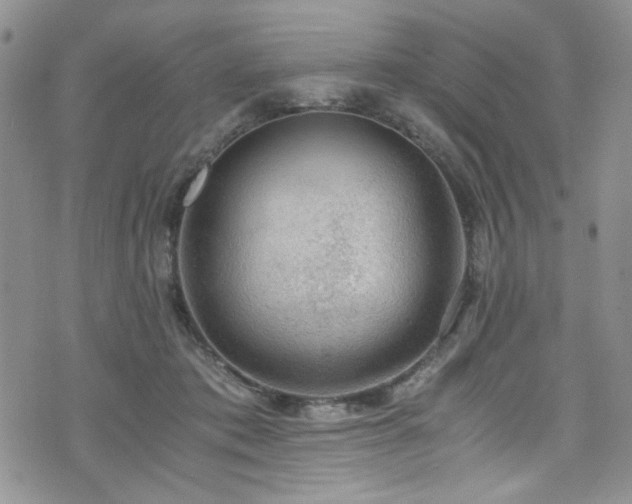 X0000076230413200609281117