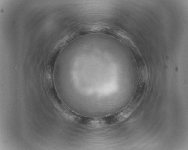 X0000076230415200609281117