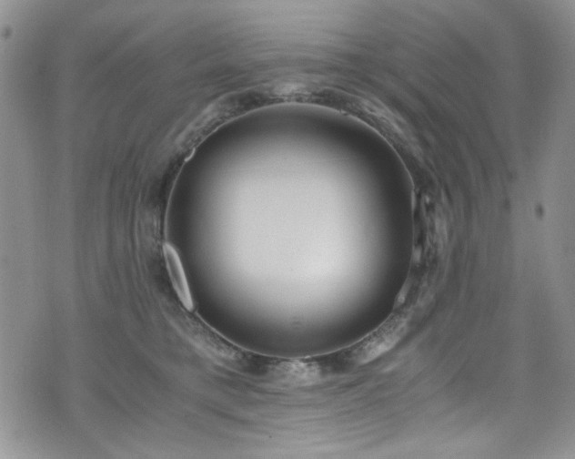 X0000076230421200609281117