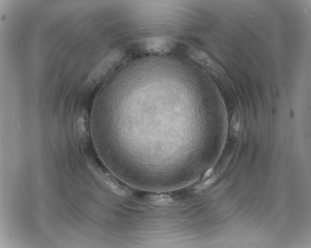 X0000076230424200609281117