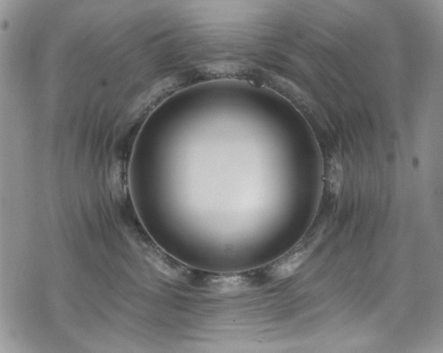 X0000076230428200609281117