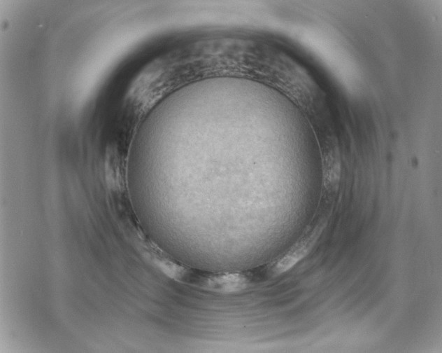 X0000076230431200609281117