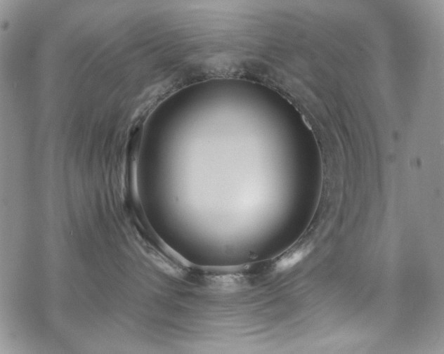 X0000076230432200609281117