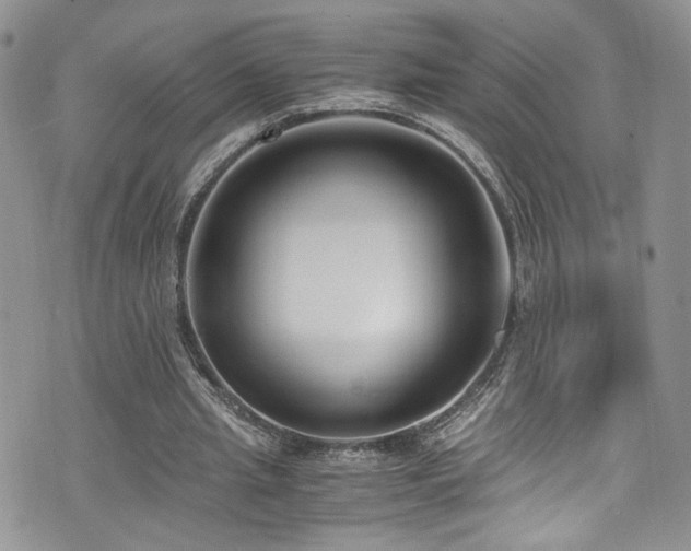 X0000076230437200609281116