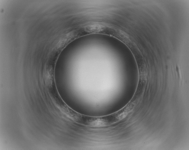 X0000076230460200609281117